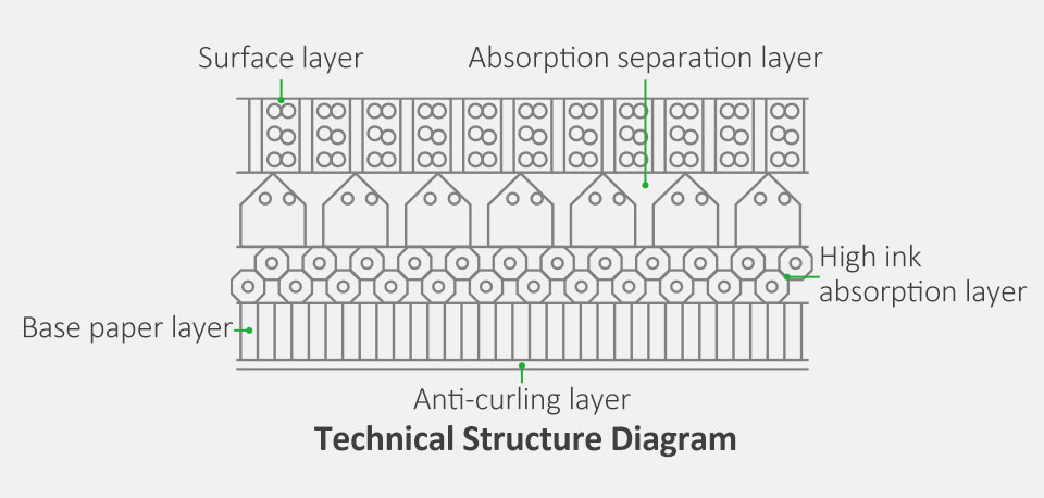 Sublimation Paper Tchnical Structure Diagram