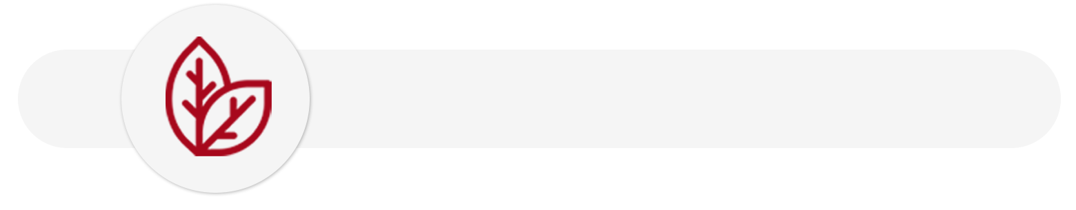 Double Sided Matte Paper Advantages-2