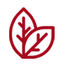 rc photo paper advantages-2