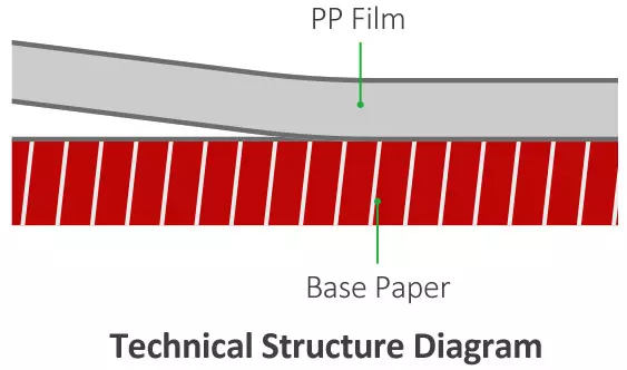 Technical Structure Diagram