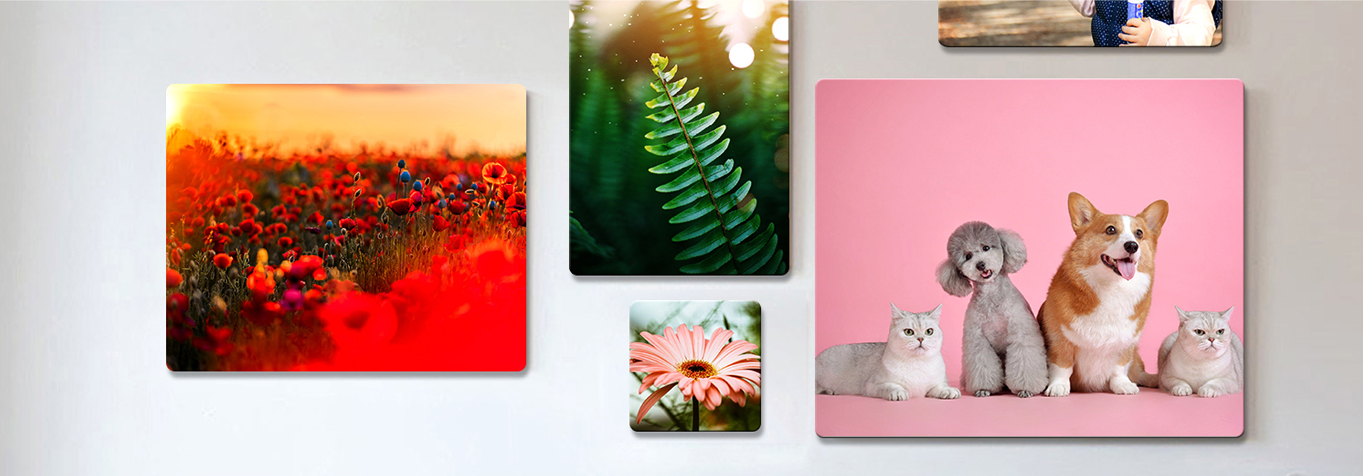 Sublimation Photo Panels Banner